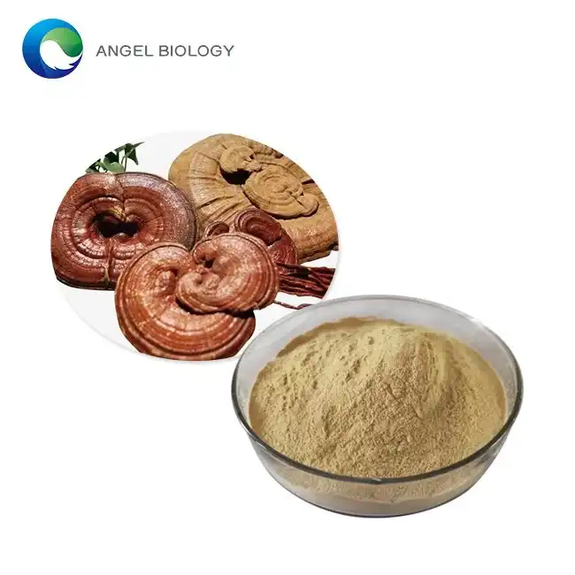 Reishi Mushroom Extract Powder